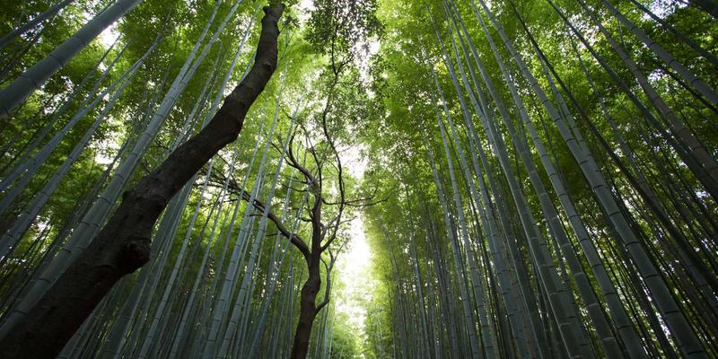 版本控制